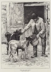 Wer zuerst kommt, mahlt zuerst